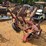 144---absolute---massey-ferguson-mf57-switch-plow-image-3
