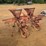 146---2-row-set-of-covington-planters-image-2