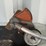 #6055-•-stihl-fc91-string-trimmer-image-7