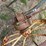 john-deere-no.5-image-6