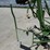 2001-krone-3-pt-4-basket-tedder-image-9