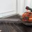 #6039-•-husqvarna-225/hbv-handheld-leaf-blower-image-1