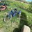 #2109-•-schwinn-meridian-trike-image-1