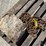 tire-chains-&-3/8's-log-chain-image-1