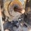 john-deere-5520-image-6