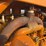 minneapolis-moline-bf-image-29