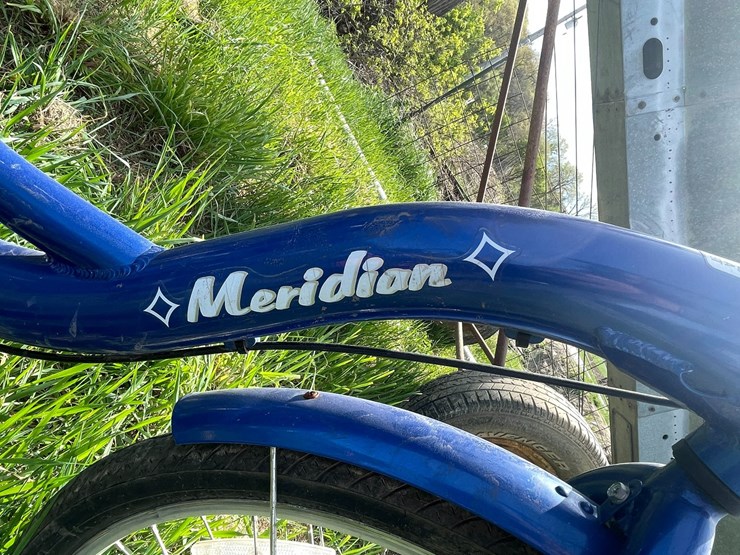 #2109-•-schwinn-meridian-trike-image-10