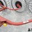 m&w-3pwr-5-wheel-3-pt-rake-image-12