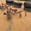 198---1-row-cultivator-image-3