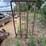 2283---firewood-rack-image-4