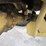 2022-caterpillar-416c-image-27