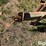 john-deere-214t-image-9