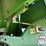 john-deere-1253a-image-15