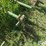 john-deere-rg4-image-13