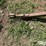 john-deere-1064-image-9
