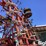wil-rich-quad-5-image-18