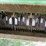 2009-john-deere-9770-sts-image-10