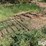 john-deere-6-image-3