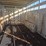 2002-eby-ruffneck-8'x24'-aluminum-livestock-trailer-image-28
