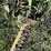john-deere-450-image-20