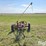 new-holland-456-image-2