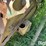 john-deere-43-image-15