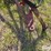 new-holland-456-image-12