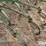 john-deere-cc-image-19