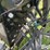 2016-balzer-v8-image-12