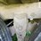 1994-barrett-pot-image-21