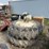 agco-allis-7060-image-2