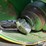 2009-john-deere-630f-image-10