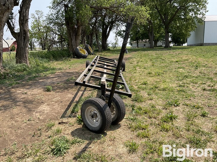 2011-bbk-30-image-2