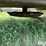 bush-hog-2615-image-11