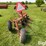 international-510-image-6