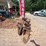 #24071-•-two-bottom-moldboard-plow-image-5