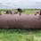 american-steel-works-steel-fuel-tank-image-4