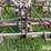 kewanee-270-image-11