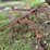 5'-cultivator-image-4
