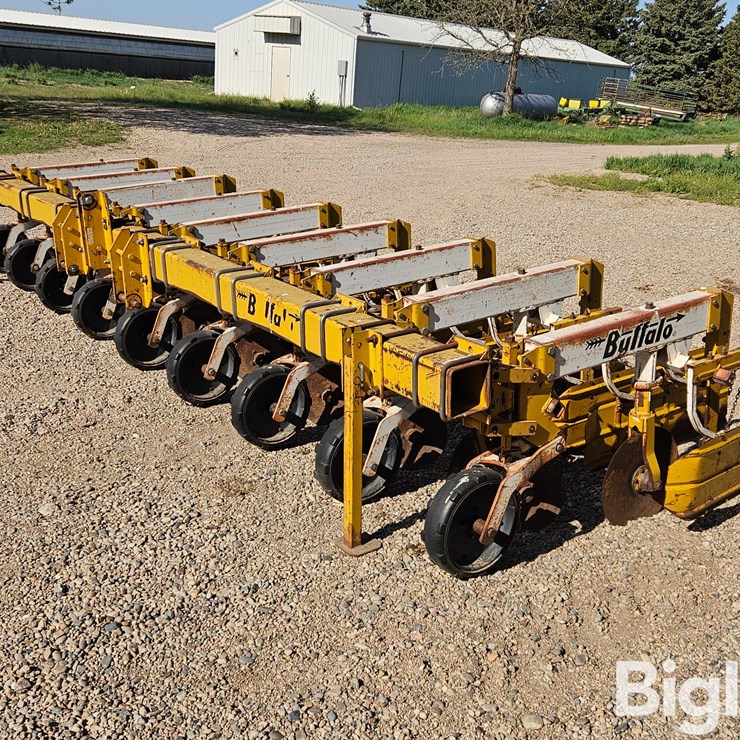 BUFFALO 6300