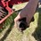 rock-o-matic-rock-picker-3925-image-18