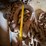 heavy-duty-log-chain-&-clevis-image-6