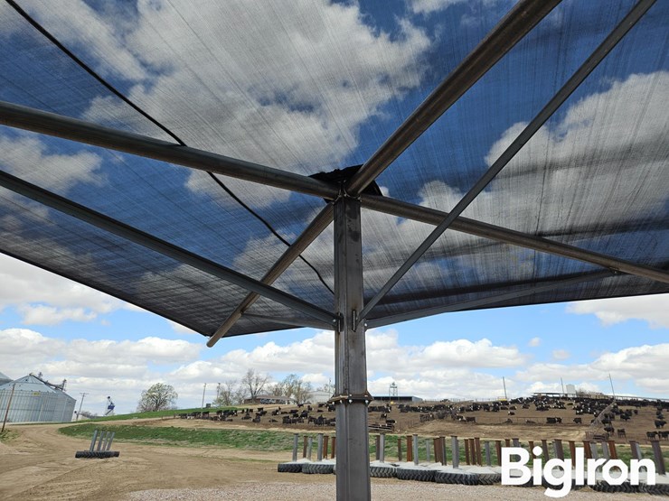 2026-boneyard-livestock-shade-tree-image-9