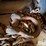 heavy-duty-log-chain-&-clevis-image-8
