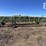 sitrex-mk16-image-4