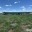 lorenz-13x33-image-9