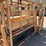 formost-6ft-long-working-chute-w/-palp-cage-image-12