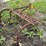 5'-cultivator-image-3