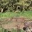 john-deere-6-image-2