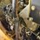 2008-master-craft-c10-7116-image-18